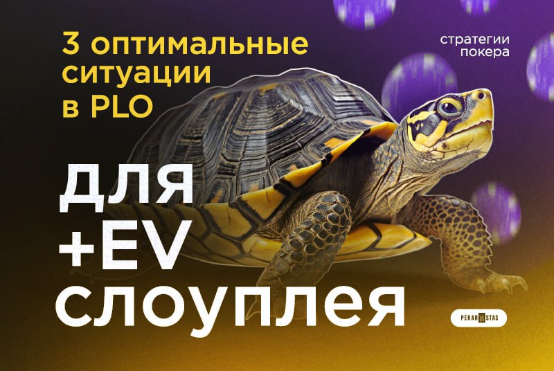слоуплей в PLO