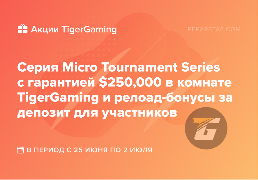 Micro Tournament Series TigerGaming
