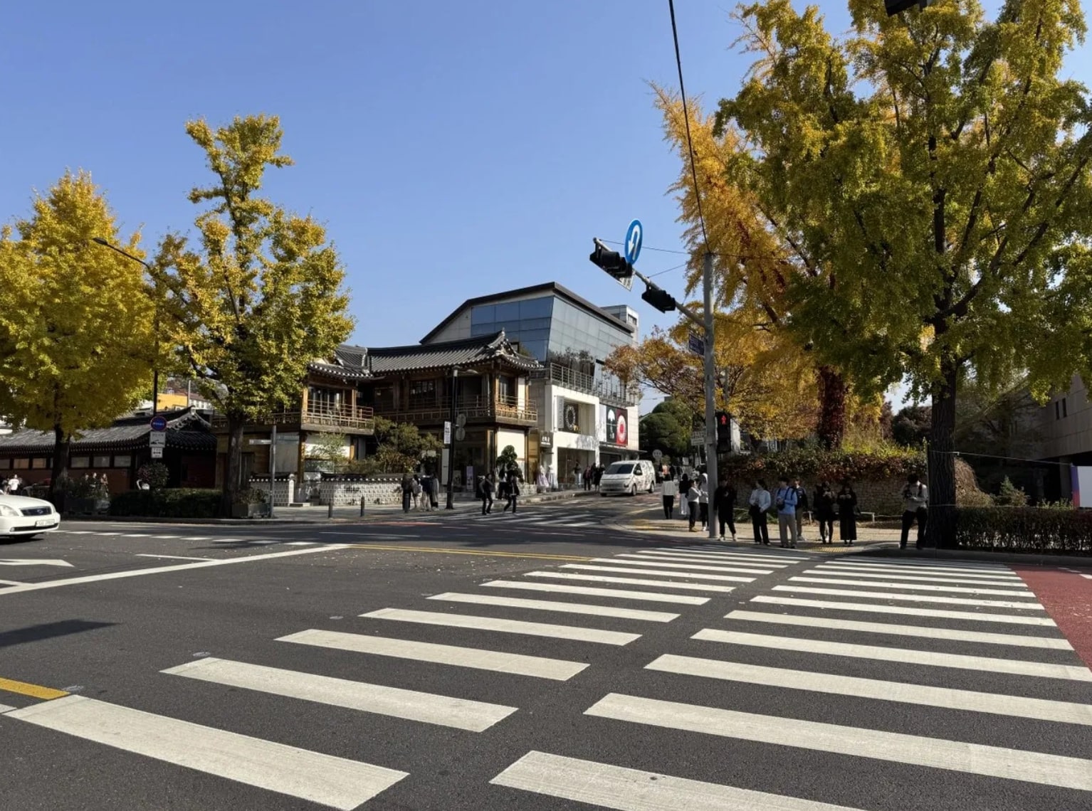 Адаптация в Дананге, хайлайты топ-финалки BPT и бордер в Корею — лучшее за ноябрь из блога игроков 5