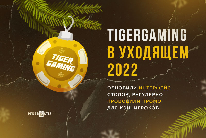 tigergaming 2022 обзор года