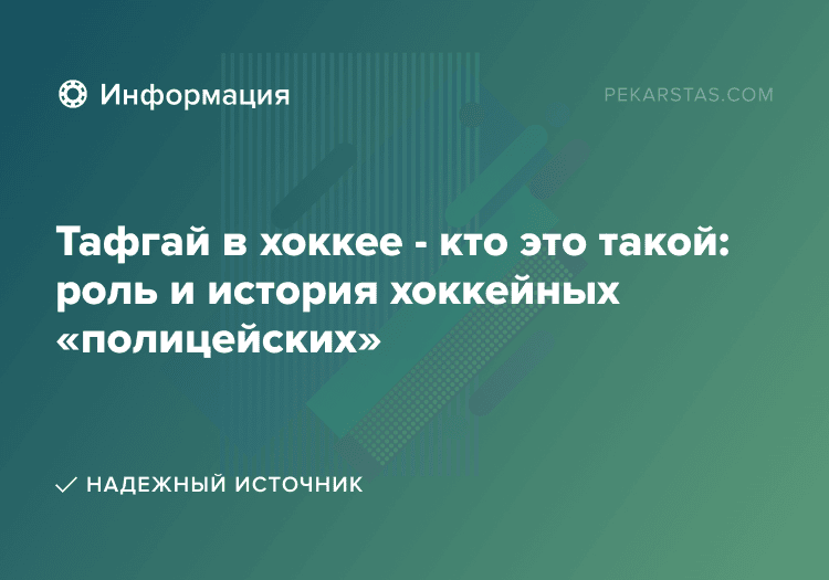 Тафгай в хоккее - кто это такой: роль и история хоккейных «полицейских»