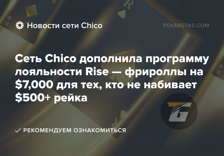 rise chico tigergmaing betonline sportsbetting