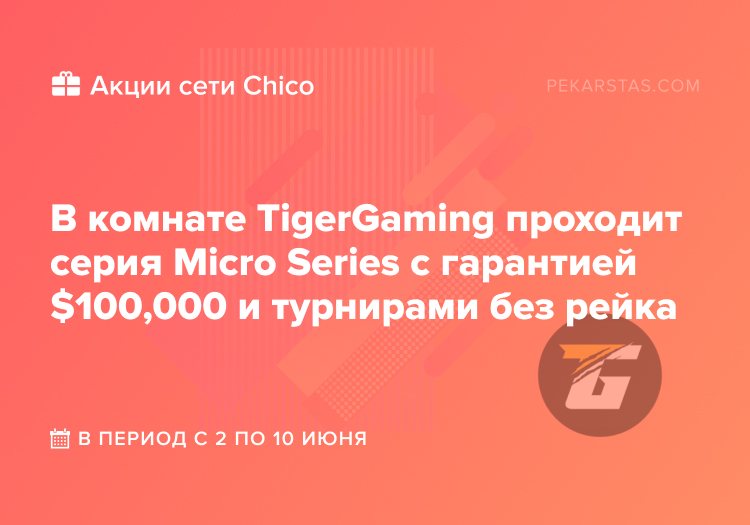 Micro Series chico tigergaming