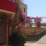 Блог PekarStas: Путешествие на Мальту 15